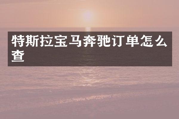 特斯拉宝马奔驰订单怎么查