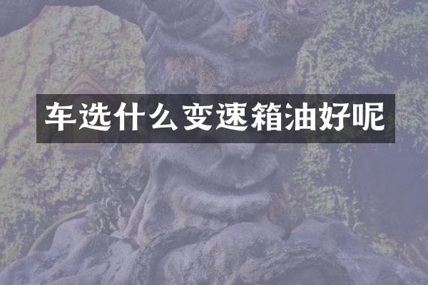 车选什么变速箱油好呢