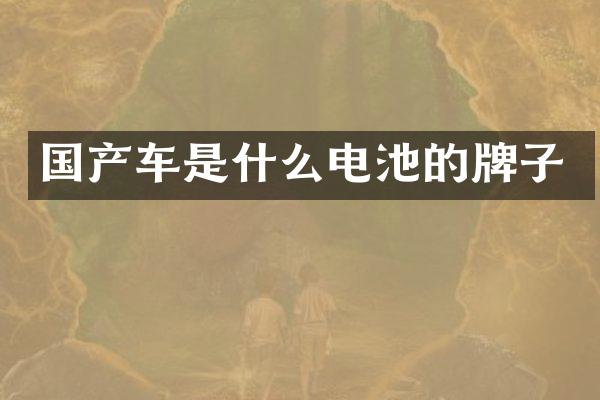 国产车是什么电池的牌子