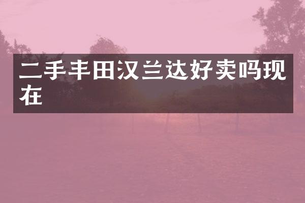 二手丰田汉兰达好卖吗现在