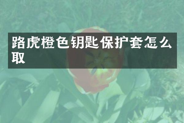 路虎橙色钥匙保护套怎么取