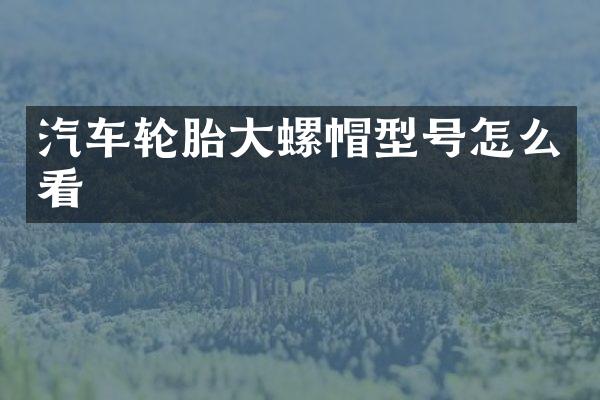 汽车轮胎大螺帽型号怎么看