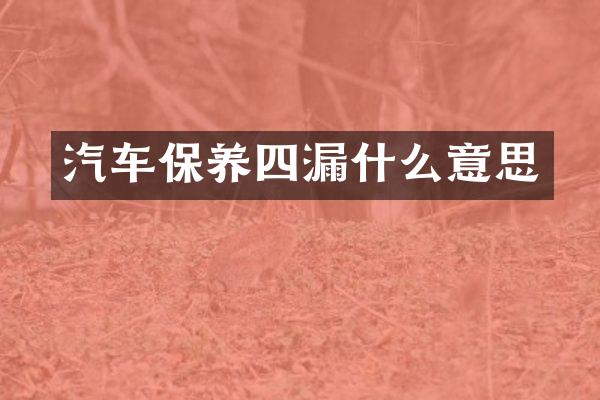 汽车保养四漏什么意思