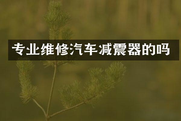 专业维修汽车减震器的吗