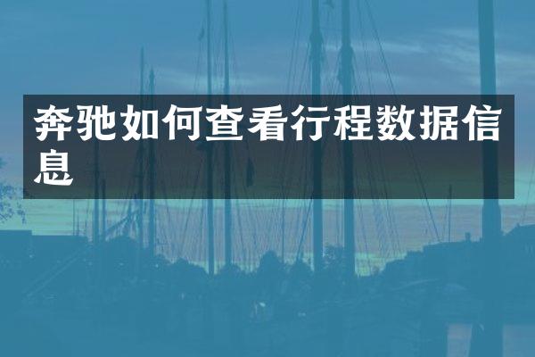 奔驰如何查看行程数据信息