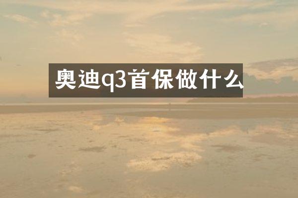 奥迪q3首保做什么