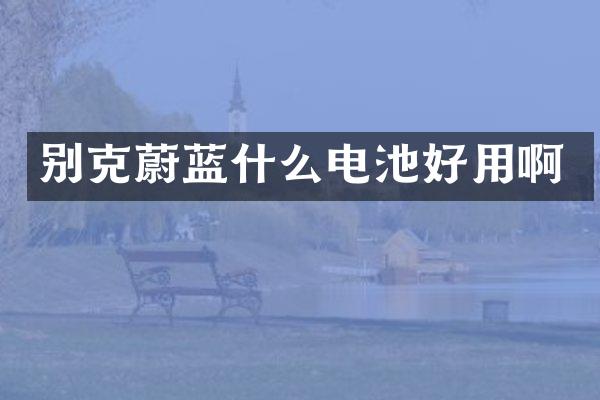 别克蔚蓝什么电池好用啊