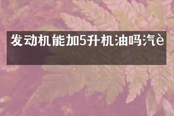 发动机能加5升机油吗汽车
