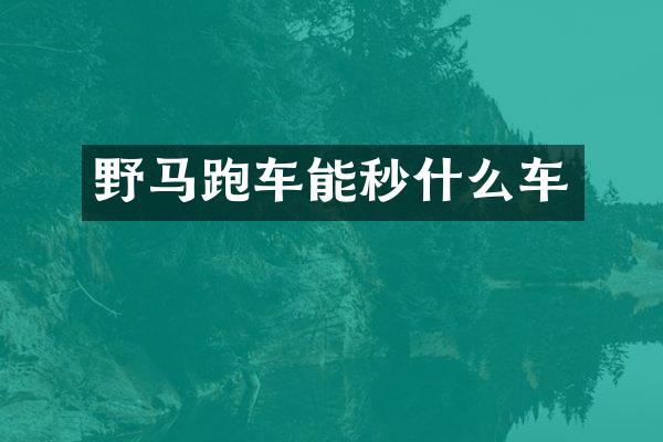 野马跑车能秒什么车