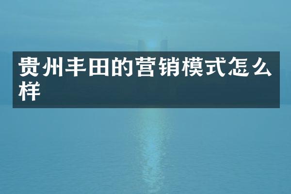 贵州丰田的营销模式怎么样