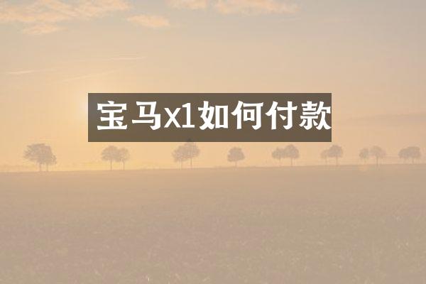 宝马x1如何付款