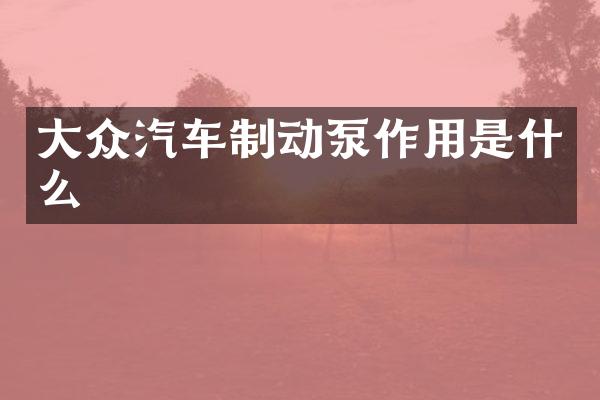 大众汽车制动泵作用是什么