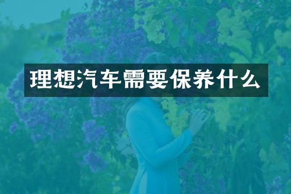 理想汽车需要保养什么