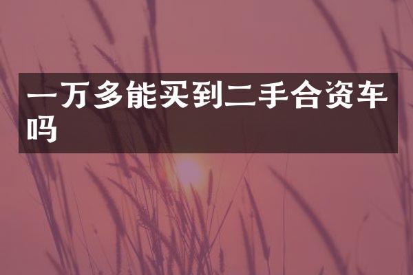 一万多能买到二手合资车吗
