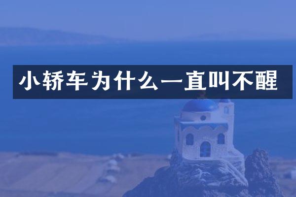 小轿车为什么一直叫不醒