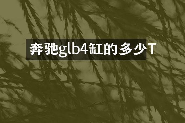 奔驰glb4缸的多少T