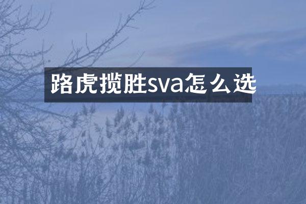 路虎揽胜sva怎么选