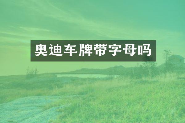 奥迪车牌带字母吗