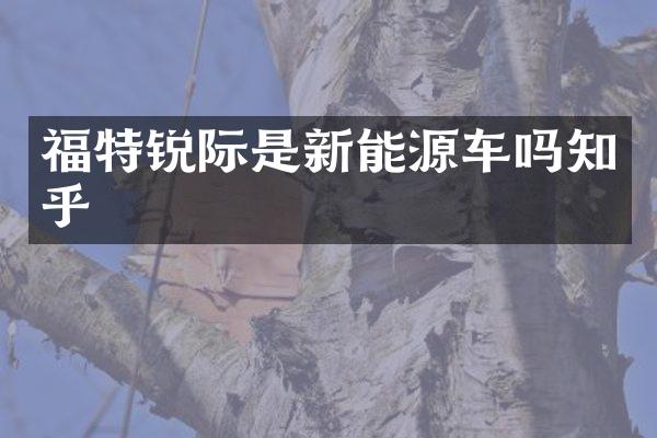 福特锐际是新能源车吗知乎