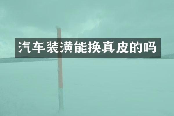 汽车装潢能换真皮的吗