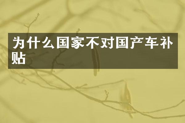 为什么国家不对国产车补贴