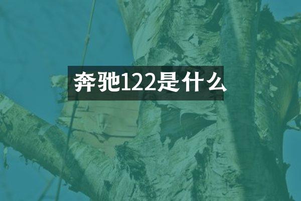奔驰122是什么