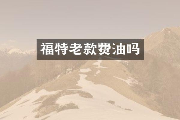 福特老款费油吗