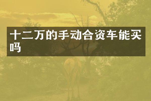 十二万的手动合资车能买吗