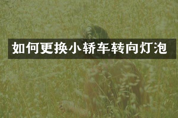 如何更换小轿车转向灯泡