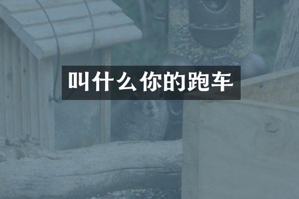 叫什么你的跑车