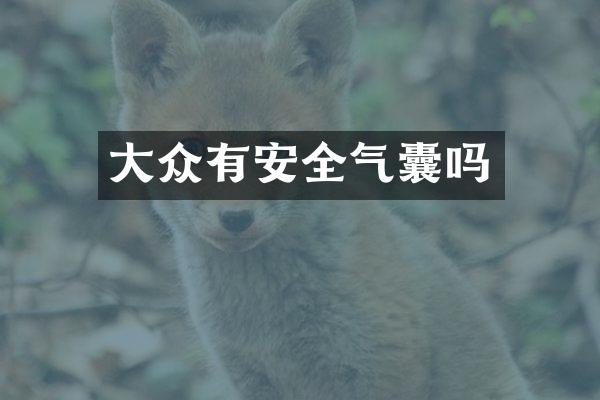大众有安全气囊吗