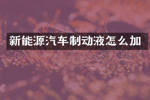新能源汽车制动液怎么加