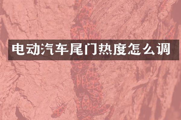 电动汽车尾门热度怎么调