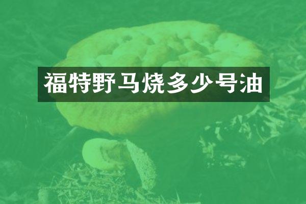 福特野马烧多少号油