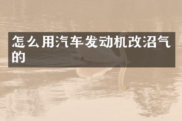 怎么用汽车发动机改沼气的