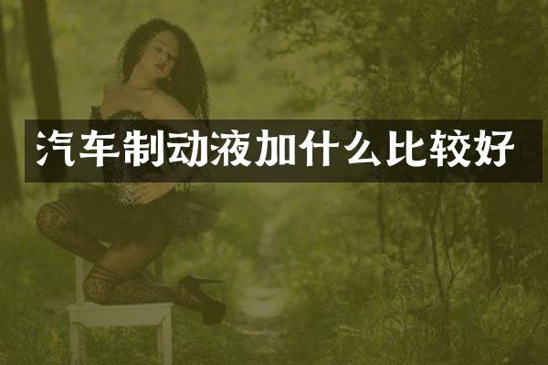汽车制动液加什么比较好