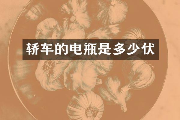 轿车的电瓶是多少伏