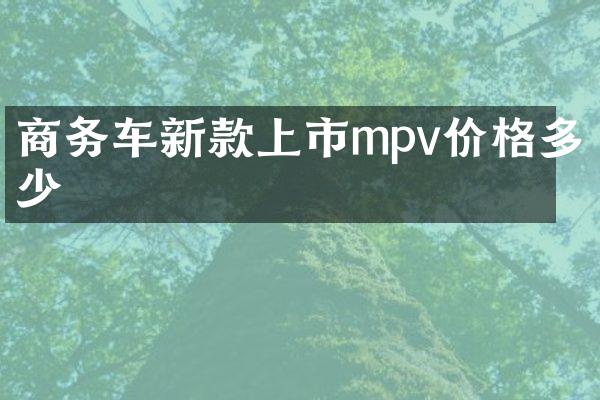 商务车新款上市mpv价格多少