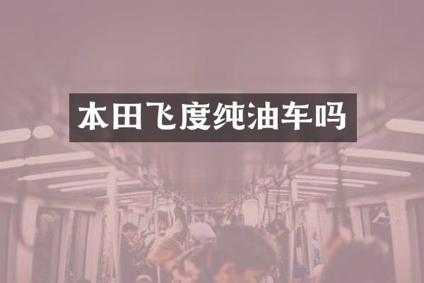 本田飞度纯油车吗