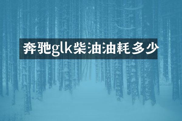 奔驰glk柴油油耗多少