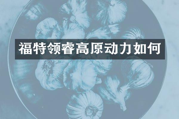 福特领睿高原动力如何