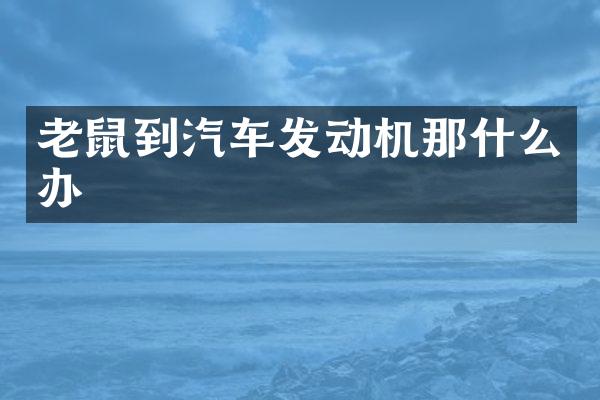 老鼠到汽车发动机那什么办