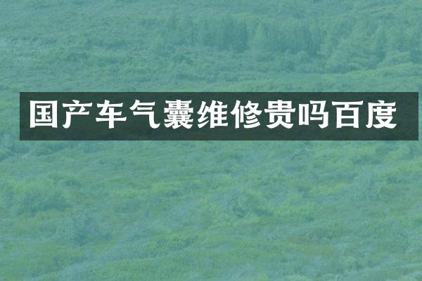 国产车气囊维修贵吗百度