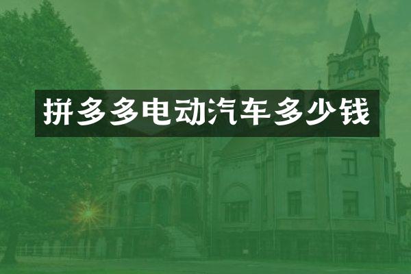 拼多多电动汽车多少钱