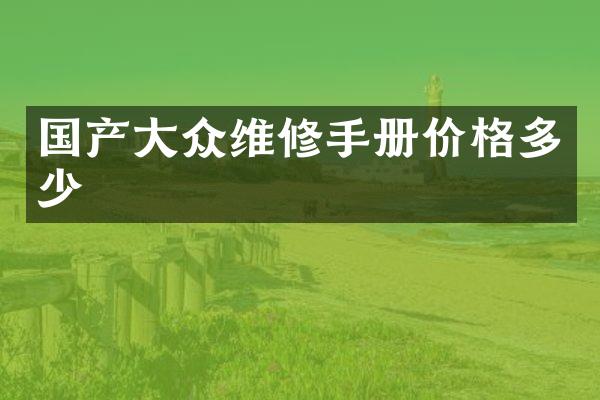 国产大众维修手册价格多少