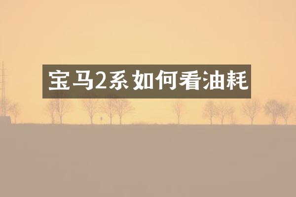 宝马2系如何看油耗