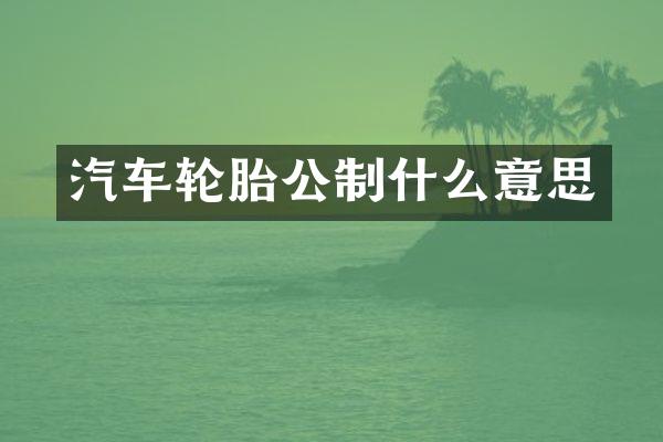 汽车轮胎公制什么意思