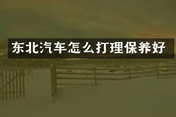 东北汽车怎么打理保养好