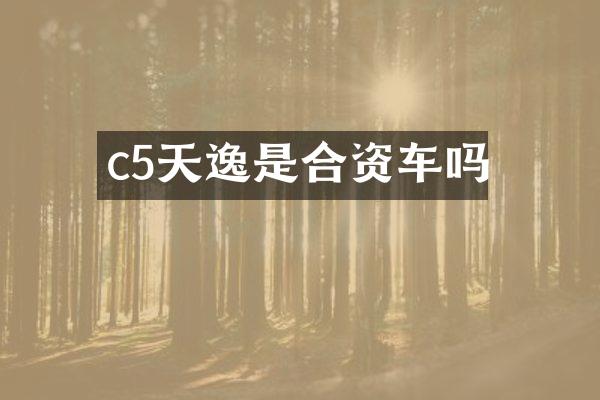 c5天逸是合资车吗