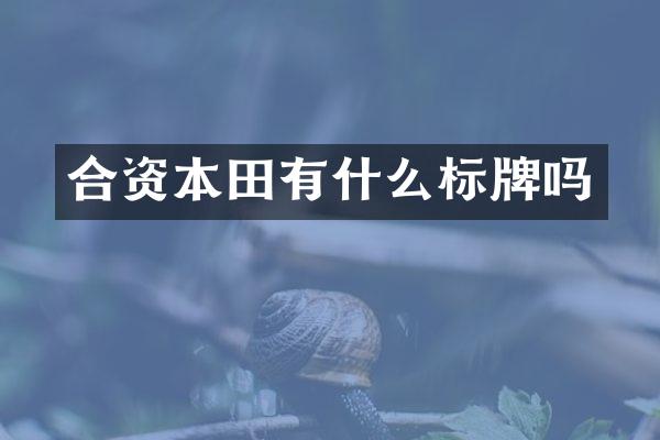 合资本田有什么标牌吗
